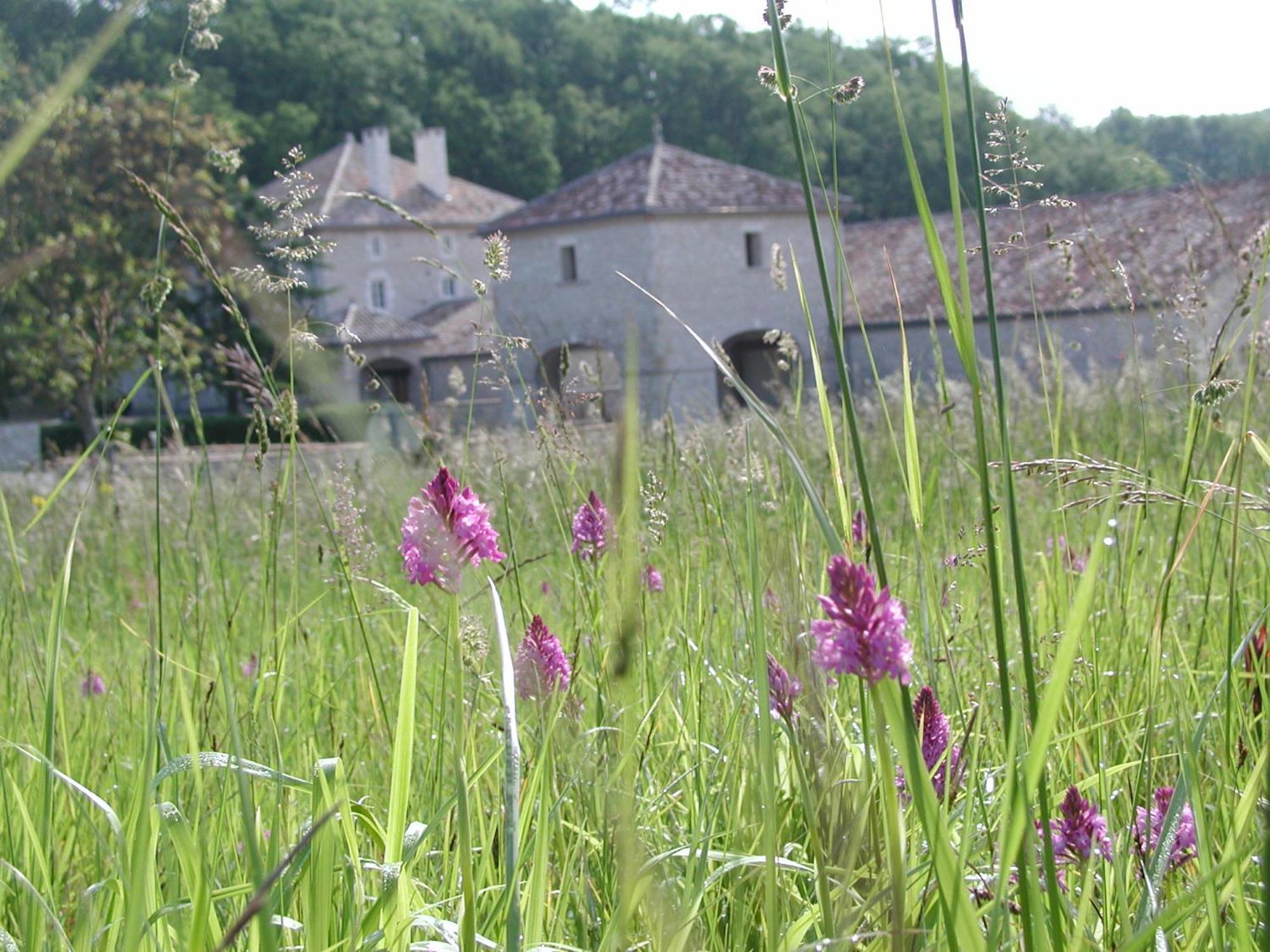 Chateau Lecusse - La Grande Roche - Hotel, Spa, Boutique & Restaurant Broze Екстер'єр фото