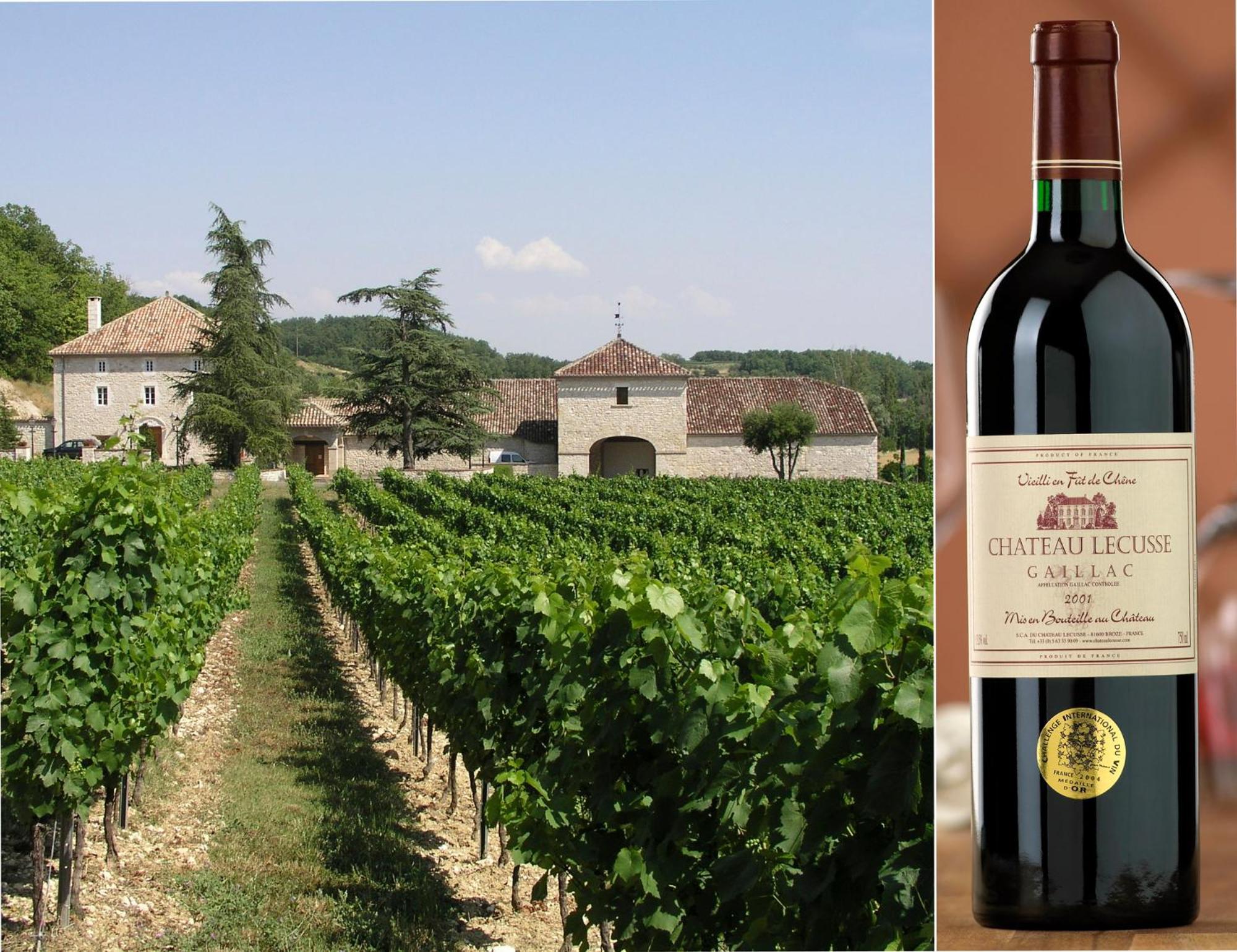Chateau Lecusse - La Grande Roche - Hotel, Spa, Boutique & Restaurant Broze Екстер'єр фото